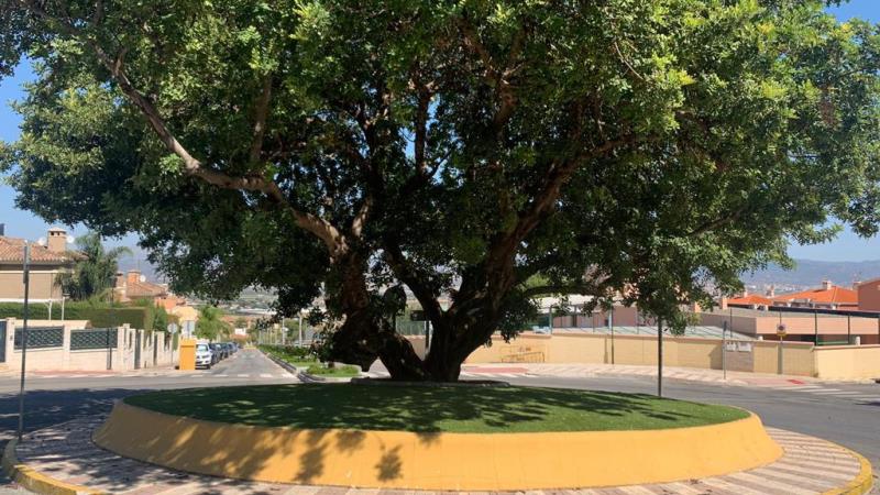 Las inversiones municipales en el sector Cortijos-Torresol se elevan a los dos millones de euros