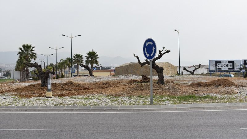 Alhaurín de la Torre  ejecuta una mejora y reordenación de los árboles de la rotonda del Encuentro
