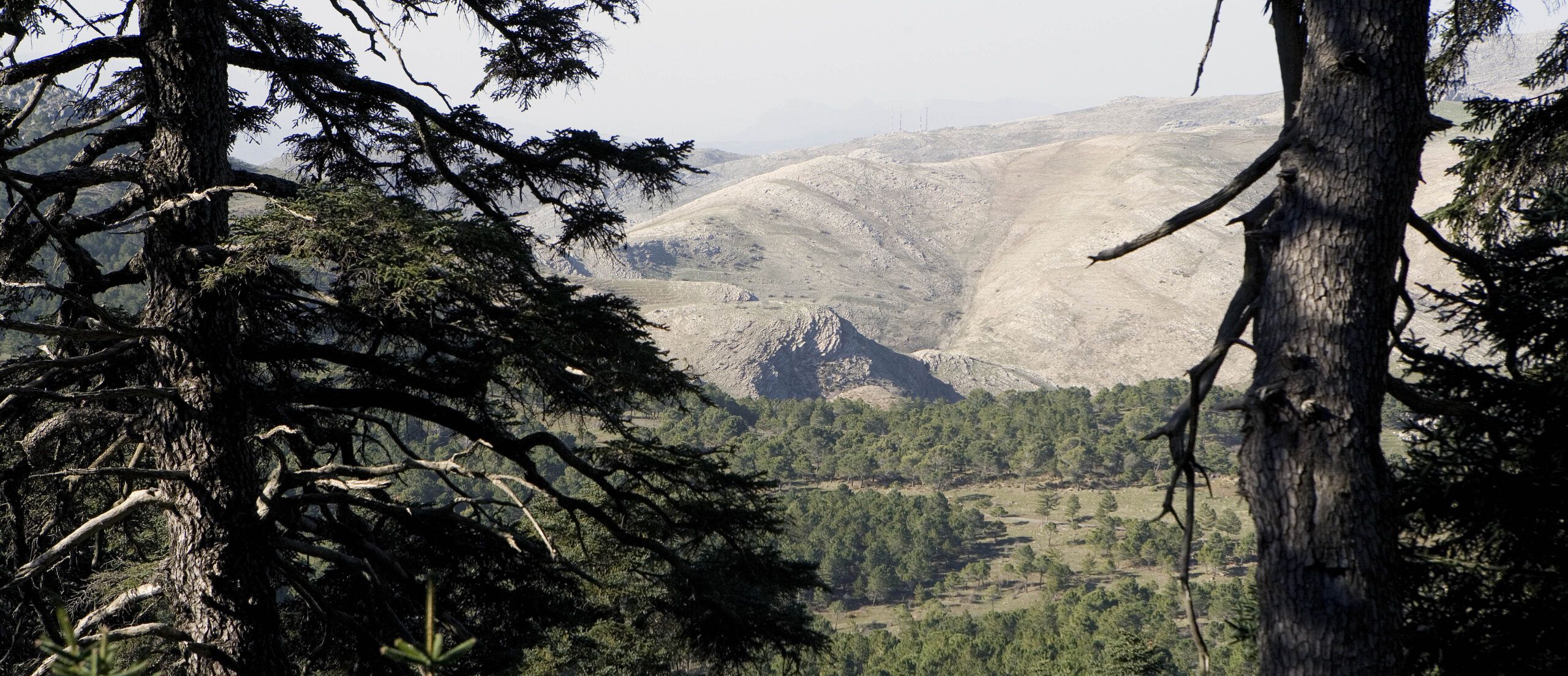 El Gobierno declara la Sierra de las Nieves como Parque Nacional