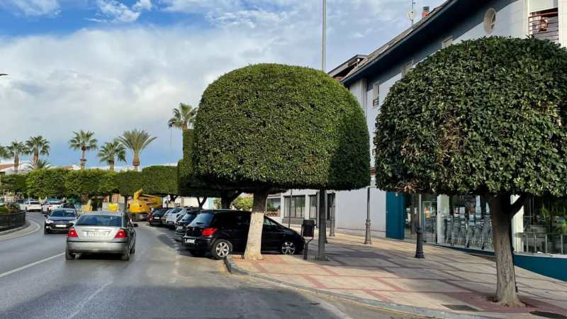 Línea Verde bate en septiembre el récord absoluto de recepción de incidencias ciudadanas
