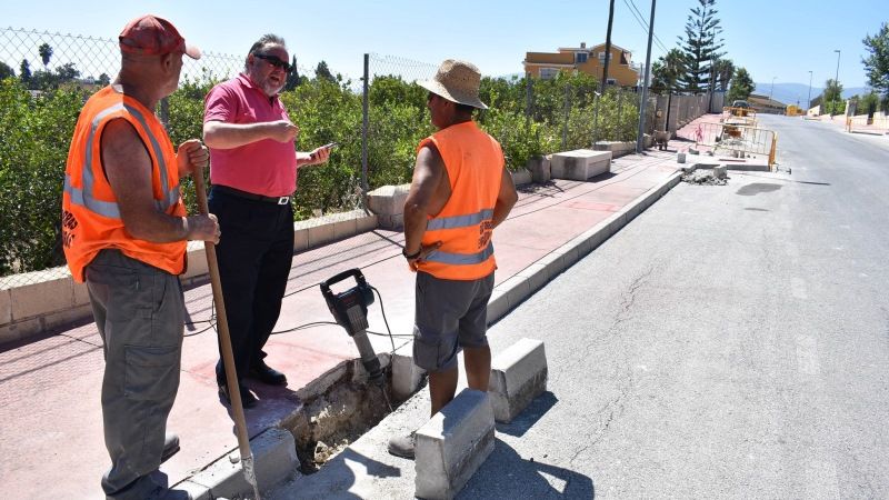 El Ayuntamiento plantará una decena de nuevos árboles en la entrada a El Romeral